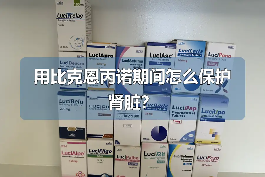 用比克恩丙诺期间怎么保护肾脏？
